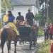 2010-08-1317-31-16